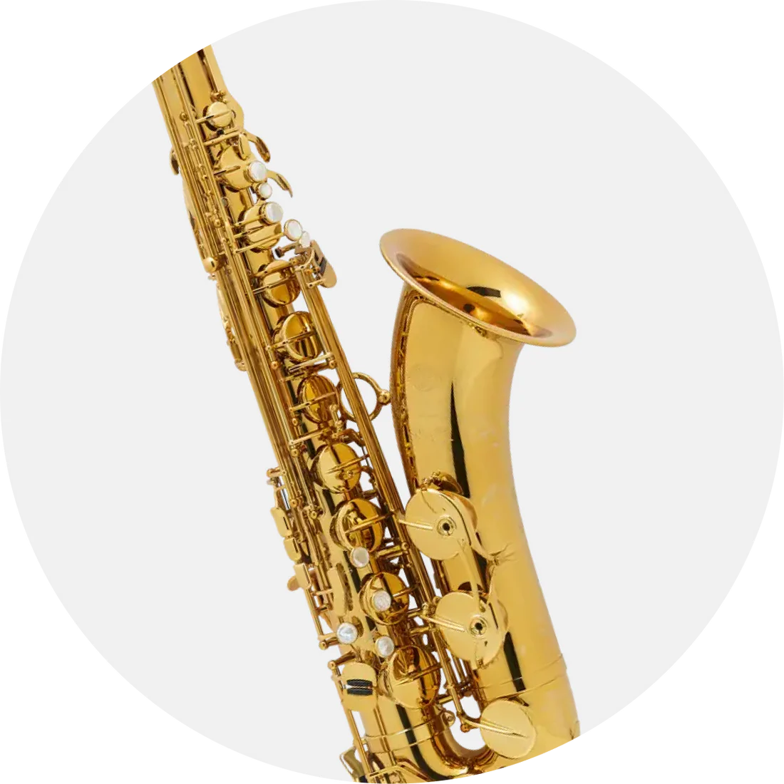 Unleash Your Inner Virtuoso